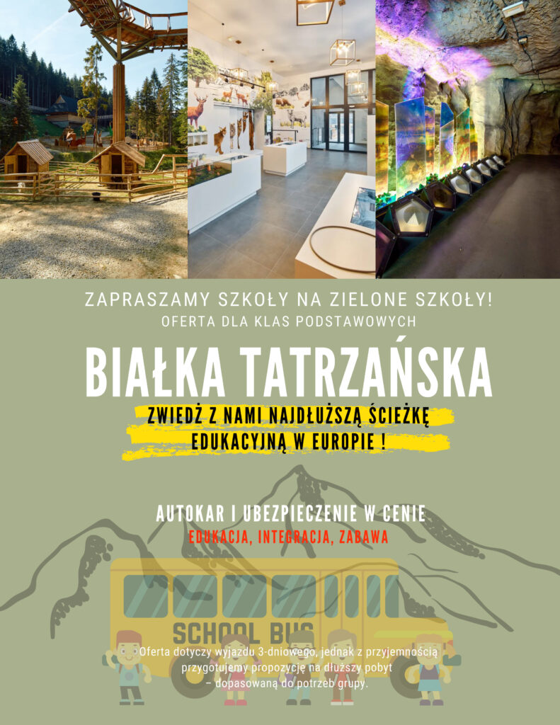 prosta zielona budowlana ulotka (dokument)